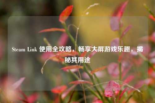 Steam Link 使用全攻略，畅享大屏游戏乐趣，揭秘其用途