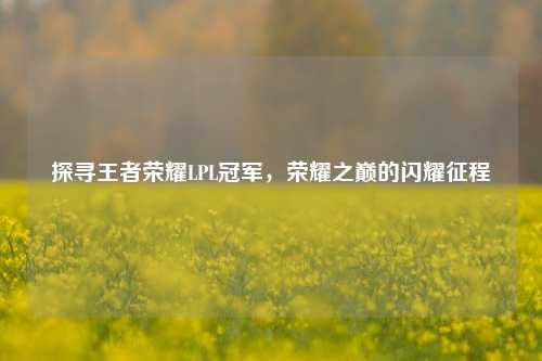 探寻王者荣耀LPL冠军，荣耀之巅的闪耀征程