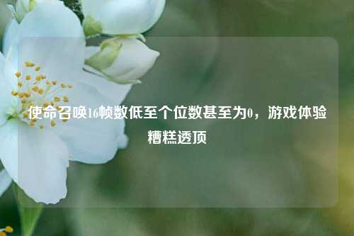 使命召唤16帧数低至个位数甚至为0，游戏体验糟糕透顶