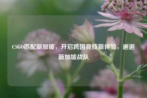 CSGO匹配新加坡，开启跨国竞技新体验，邂逅新加坡战队