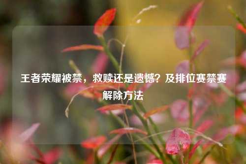 王者荣耀被禁，救赎还是遗憾？及排位赛禁赛解除方法