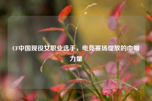 CF中国现役女职业选手，电竞赛场绽放的巾帼力量