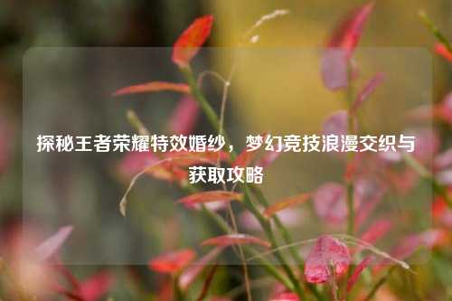 探秘王者荣耀特效婚纱，梦幻竞技浪漫交织与获取攻略