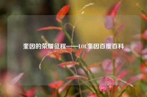 奎因的荣耀征程——LOL奎因百度百科