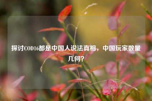 探讨COD16都是中国人说法真相，中国玩家数量几何？