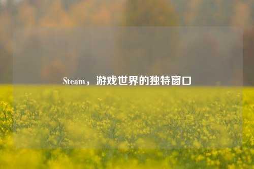 Steam,游戏世界的独特窗口
