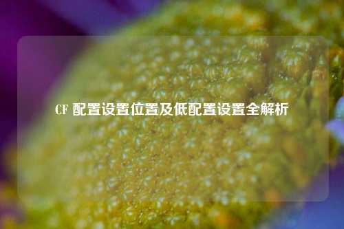 CF 配置设置位置及低配置设置全解析