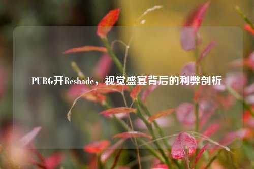 PUBG开Reshade,视觉盛宴背后的利弊剖析