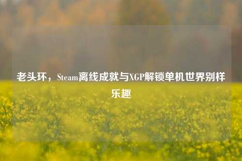 老头环，Steam离线成就与XGP解锁单机世界别样乐趣