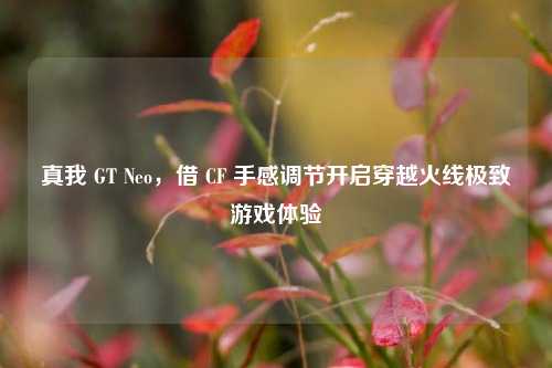 真我 GT Neo，借 CF 手感调节开启穿越火线极致游戏体验