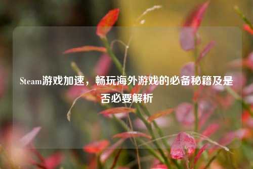 Steam游戏加速,畅玩海外游戏的必备秘籍及是否必要解析