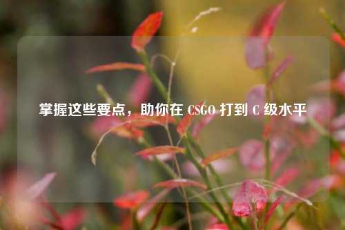 掌握这些要点，助你在 CSGO 打到 C 级水平
