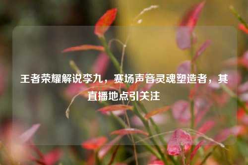 王者荣耀解说李九,赛场声音灵魂塑造者,其直播地点引关注