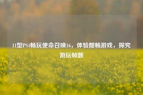 11型PS4畅玩使命召唤16，体验酣畅游戏，探究游玩帧数