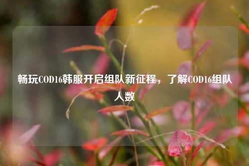 畅玩COD16韩服开启组队新征程，了解COD16组队人数