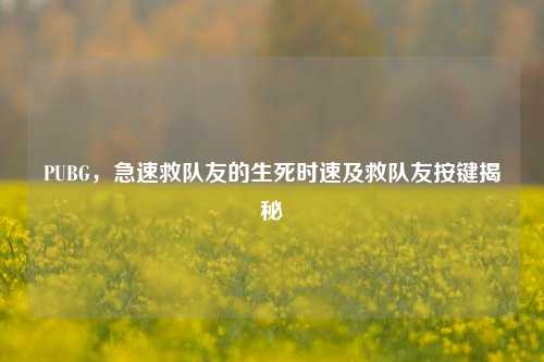 PUBG,急速救队友的生死时速及救队友按键揭秘