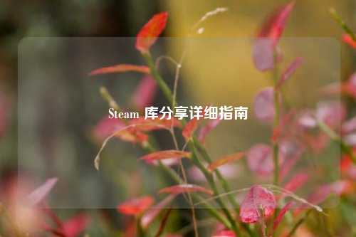 Steam 库分享详细指南