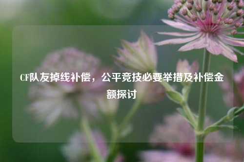 CF队友掉线补偿,公平竞技必要举措及补偿金额探讨