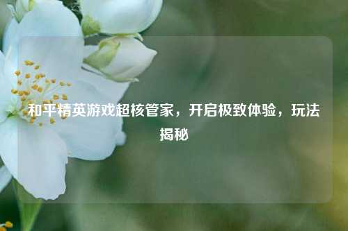 和平精英游戏超核管家，开启极致体验，玩法揭秘