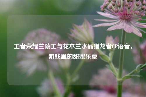 王者荣耀兰陵王与花木兰水晶猎龙者CP语音,游戏里的甜蜜乐章
