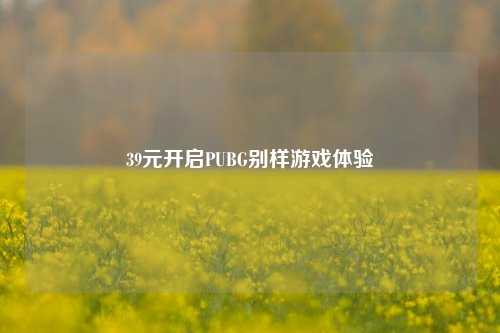 39元开启PUBG别样游戏体验