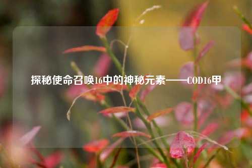 探秘使命召唤16中的神秘元素——COD16甲