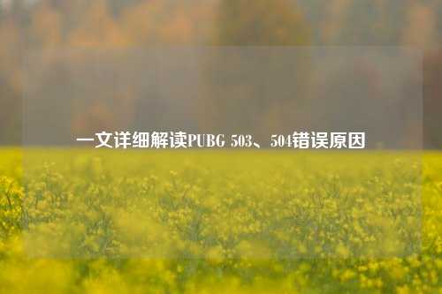 一文详细解读PUBG 503、504错误原因