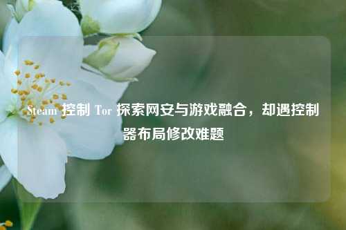 Steam 控制 Tor 探索网安与游戏融合，却遇控制器布局修改难题