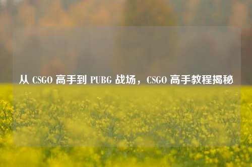 从 CSGO 高手到 PUBG 战场，CSGO 高手教程揭秘