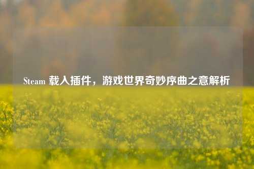 Steam 载入插件,游戏世界奇妙序曲之意解析