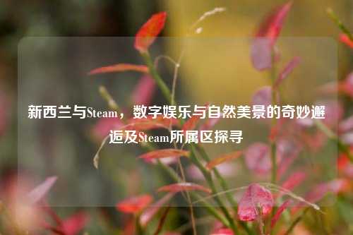 新西兰与Steam,数字娱乐与自然美景的奇妙邂逅及Steam所属区探寻