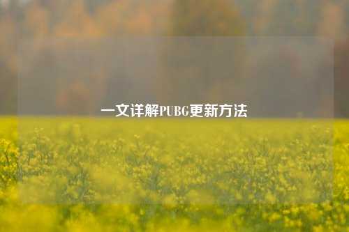 一文详解PUBG更新方法