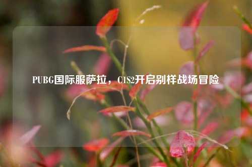PUBG国际服萨拉，C1S2开启别样战场冒险