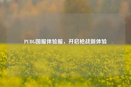 PUBG国服体验服,开启枪战新体验