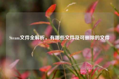 Steam文件全解析，有哪些文件及可删除的文件