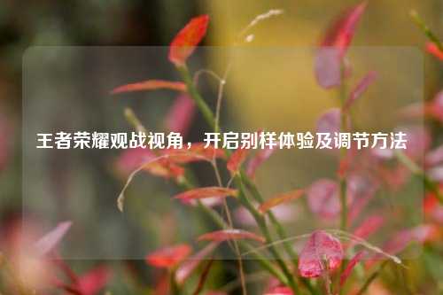 王者荣耀观战视角，开启别样体验及调节方法