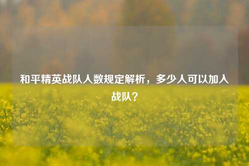 和平精英战队人数规定解析,多少人可以加入战队?