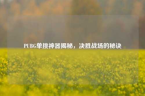 PUBG单挑神器揭秘，决胜战场的秘诀