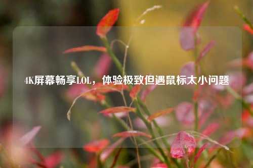 4K屏幕畅享LOL，体验极致但遇鼠标太小问题