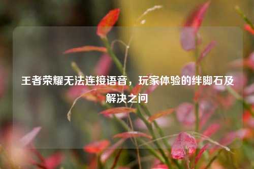 王者荣耀无法连接语音,玩家体验的绊脚石及解决之问