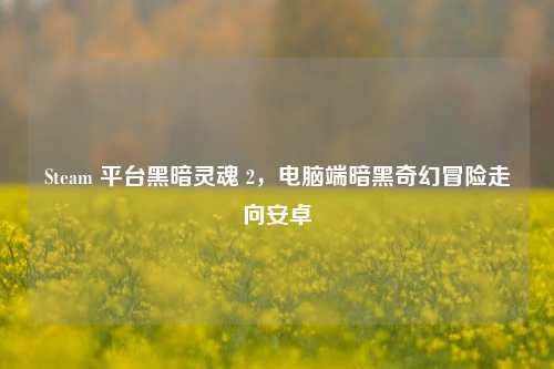 Steam 平台黑暗灵魂 2，电脑端暗黑奇幻冒险走向安卓