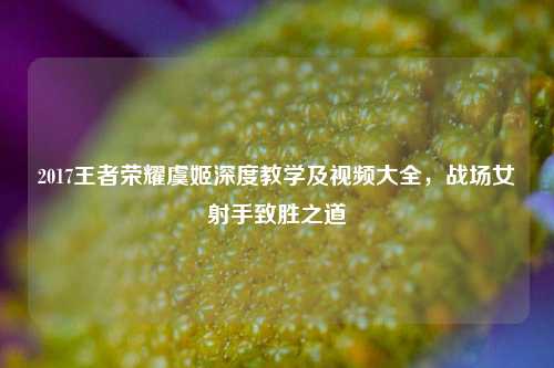 2017王者荣耀虞姬深度教学及视频大全，战场女射手致胜之道