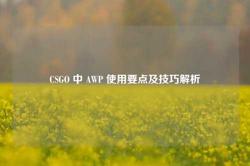 CSGO 中 AWP 使用要点及技巧解析