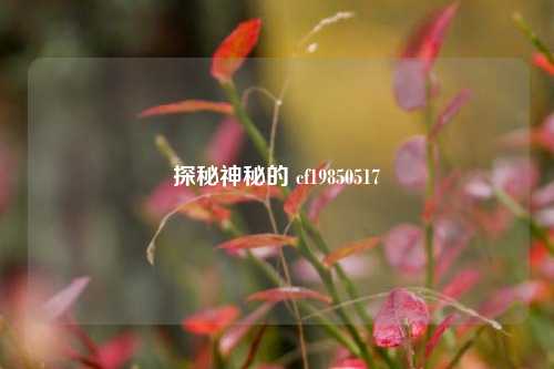 探秘神秘的 cf19850517