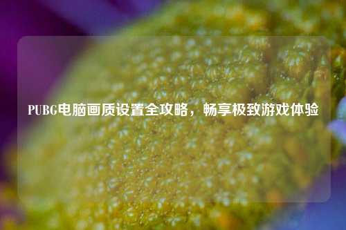 PUBG电脑画质设置全攻略，畅享极致游戏体验