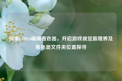探索COD16编辑着色器，开启游戏视觉新境界及着色器文件夹位置探寻