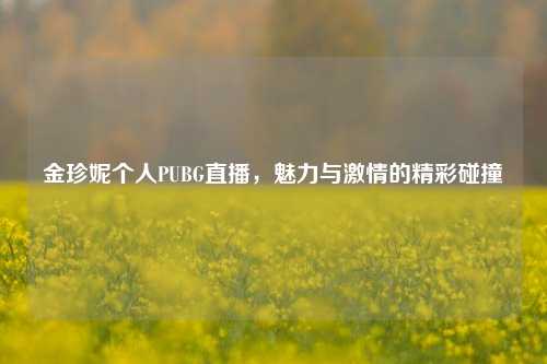 金珍妮个人PUBG直播,魅力与激情的精彩碰撞