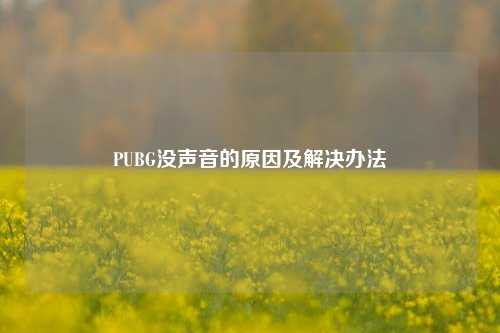 PUBG没声音的原因及解决办法