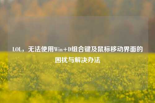 LOL,无法使用Win+D组合键及鼠标移动界面的困扰与解决办法
