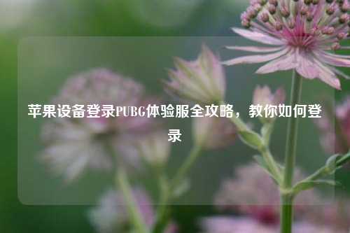 苹果设备登录PUBG体验服全攻略，教你如何登录